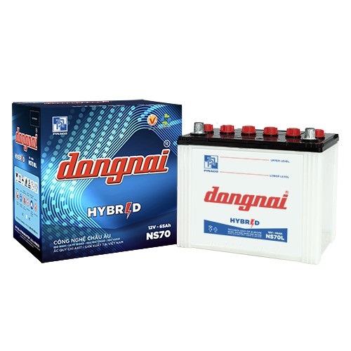 Ắc quy Đồng Nai NS70R/L (12V-65AH)